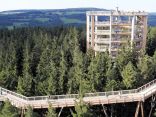 Stezka v korunách stromů - LIPNO